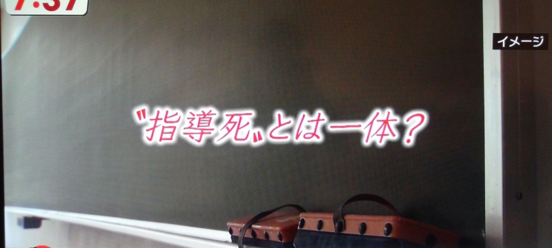 dsc03290_800.jpg