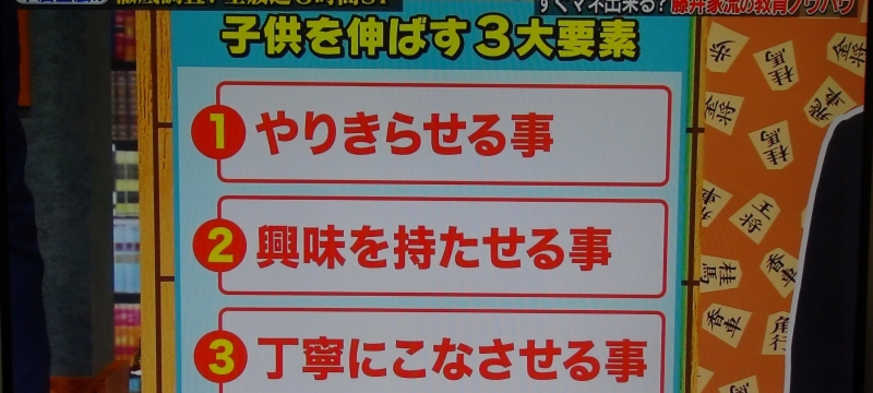 dsc03157_800.jpg