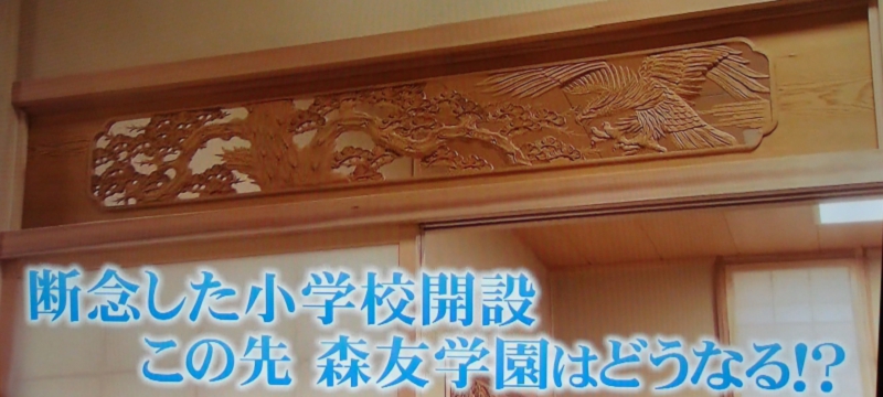 dsc03097_800.jpg