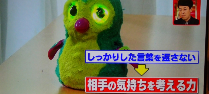 dsc02950_800.jpg