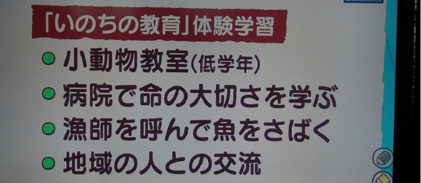 dsc00428_800.jpg